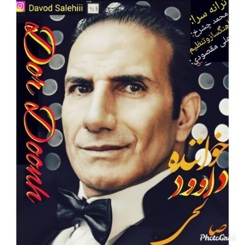 دانلود آهنگ داوود صالحی دردونه
